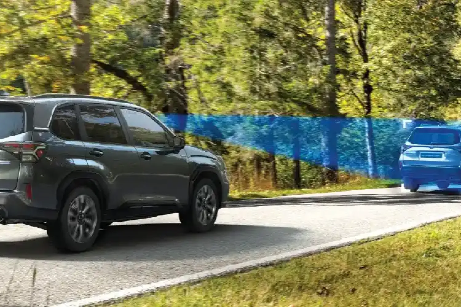 Eyesight con cámara gran angular